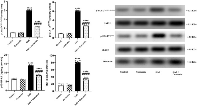 Fig. 12