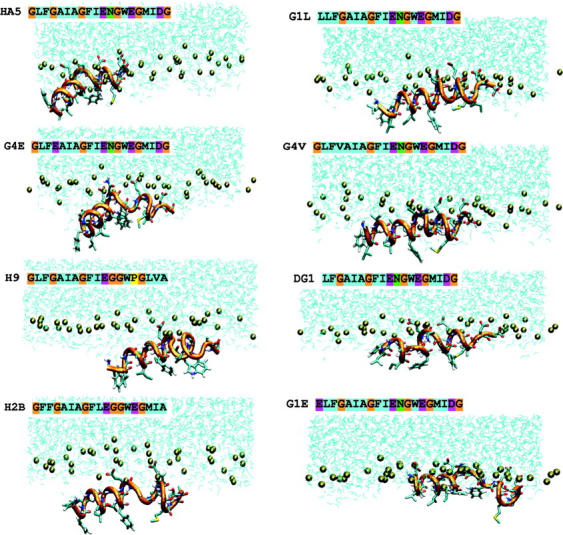 FIGURE 4