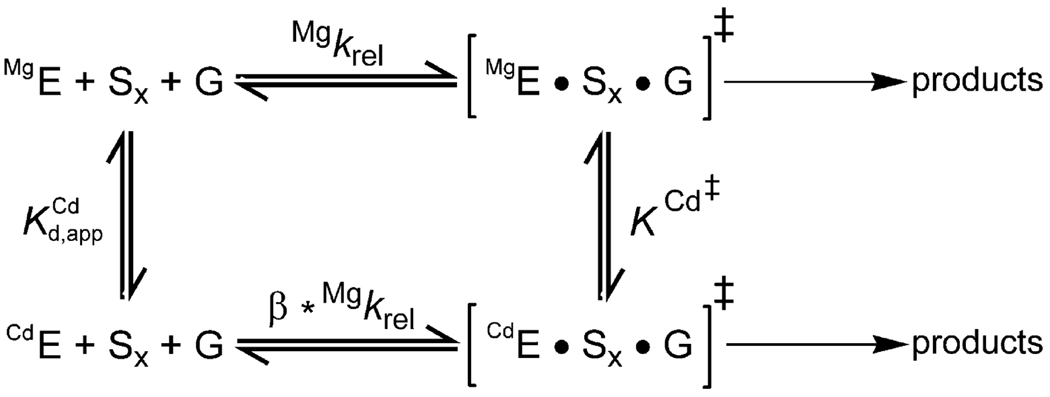 Scheme 2