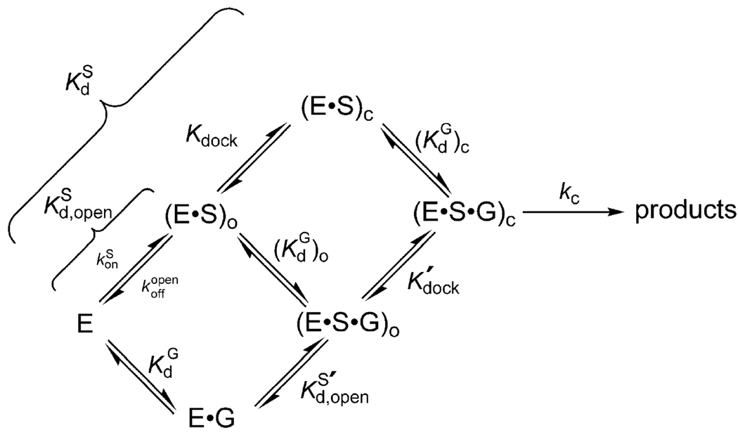 Scheme 3