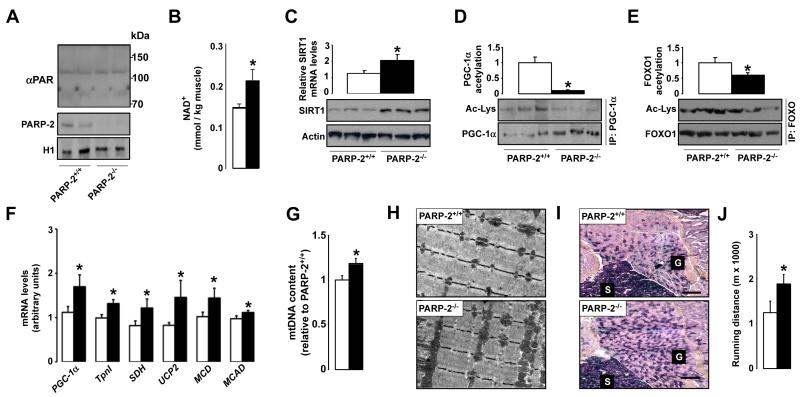 Fig.3