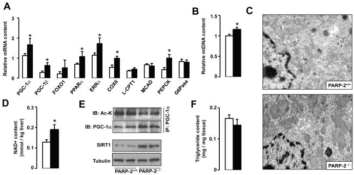 Fig.4