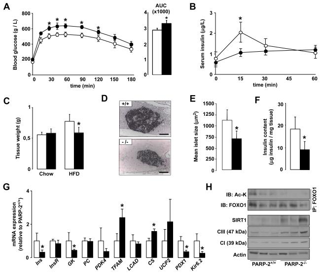 Fig.6