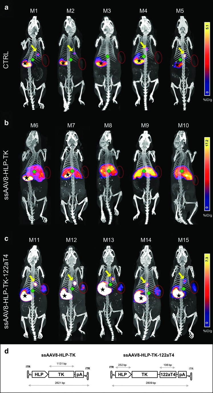 FIG. 2.