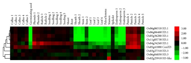 Figure 5