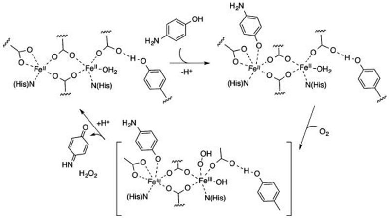 Figure 16