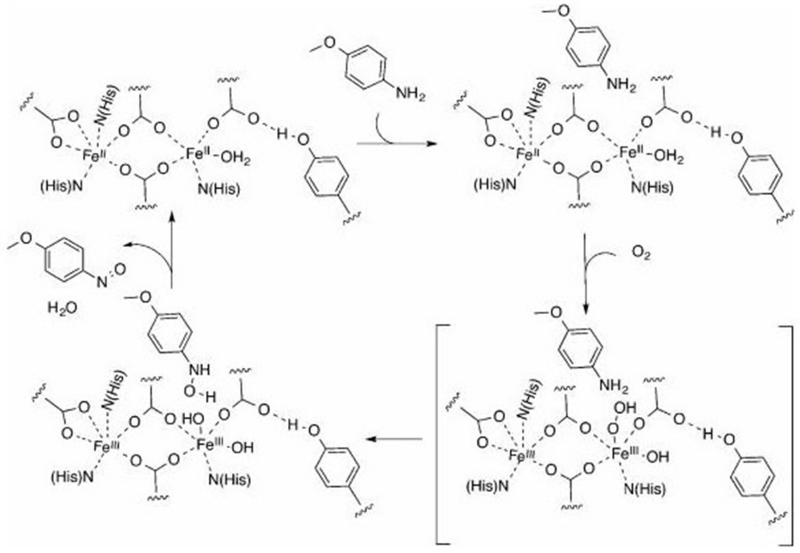 Figure 17