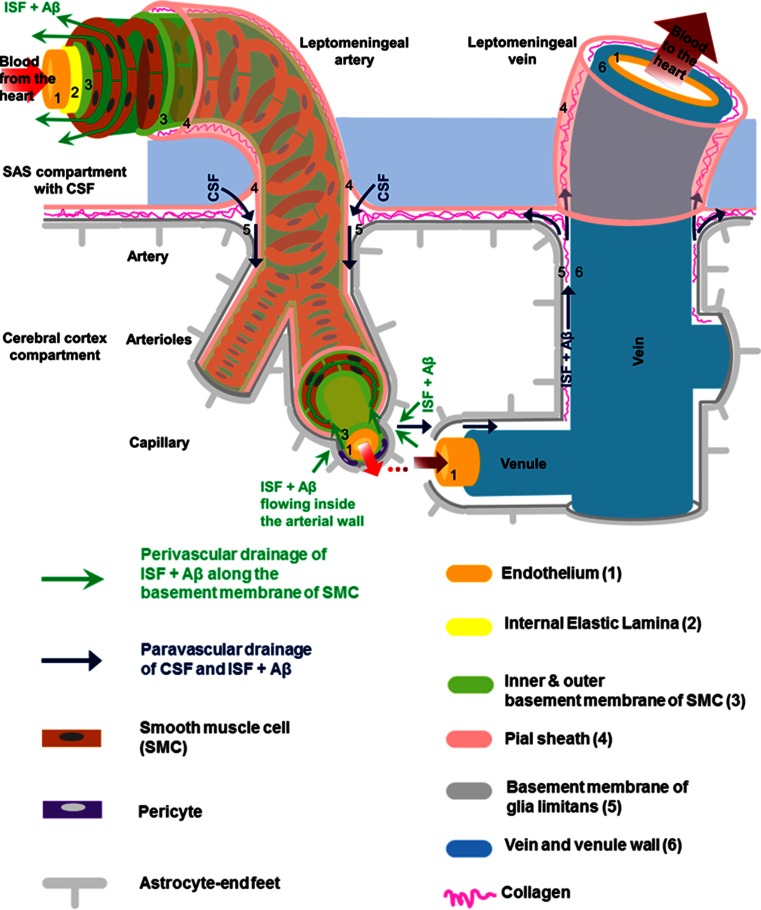 Fig. 3