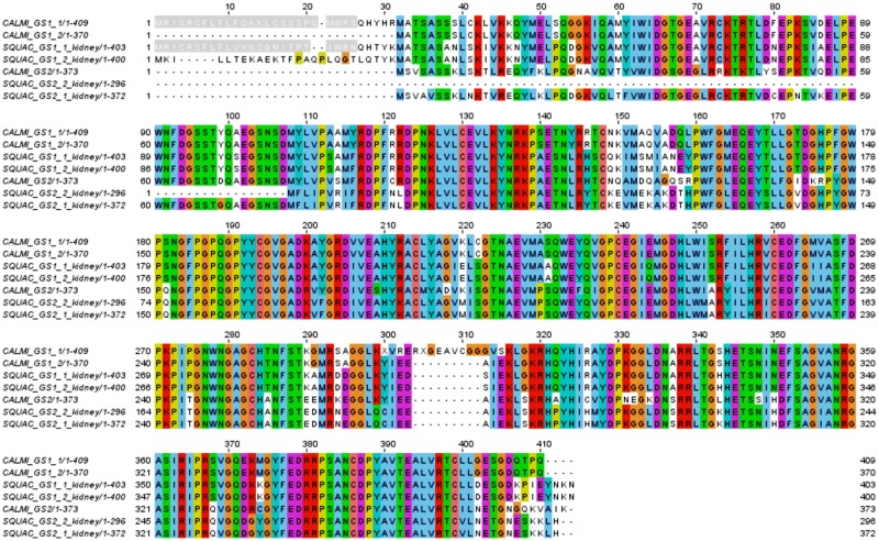 Fig 6