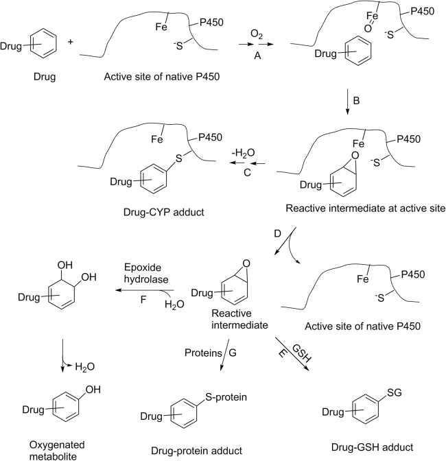 Scheme 6