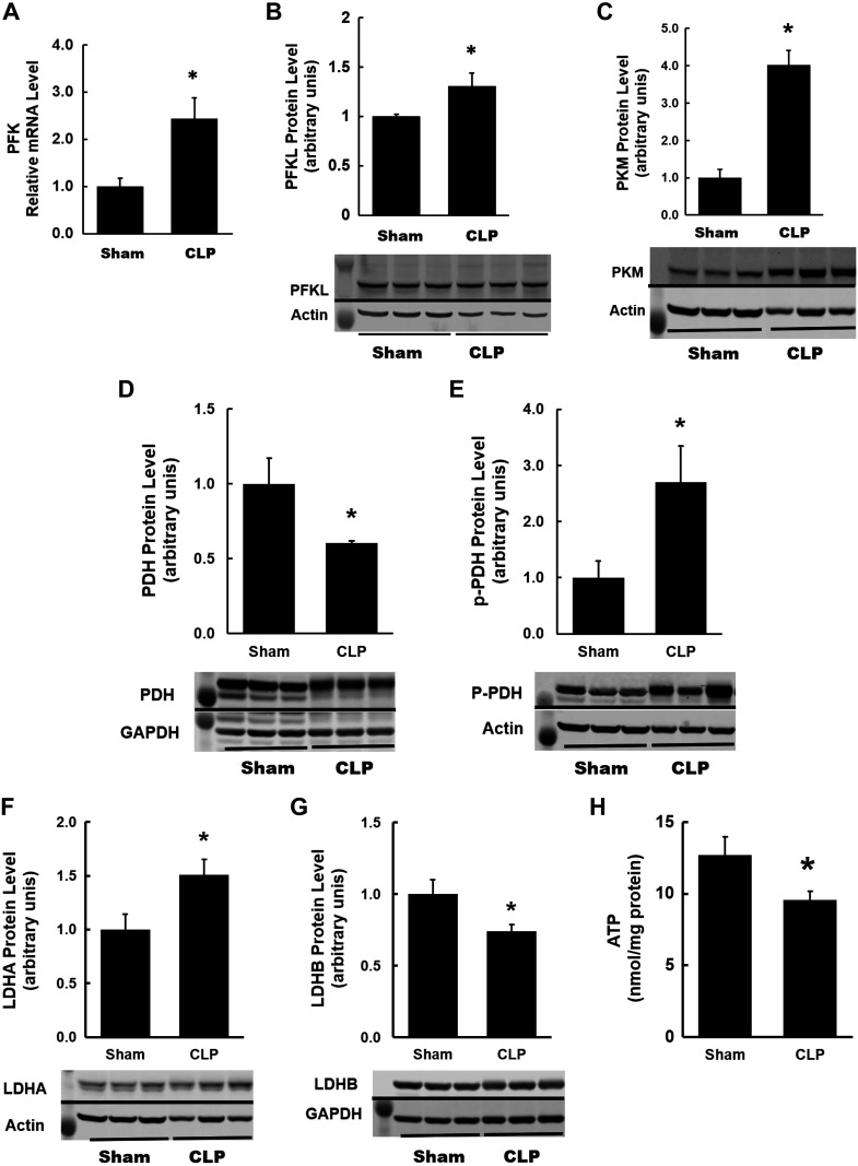 Fig. 8.