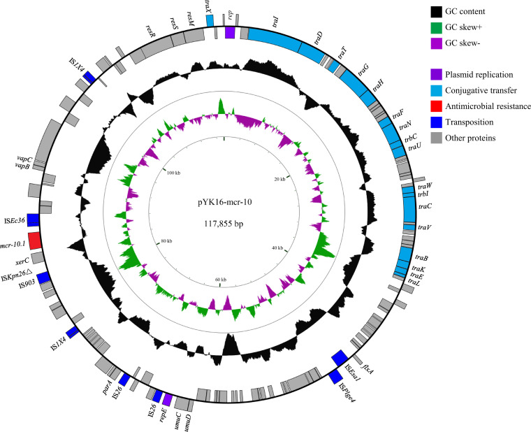 FIG 1