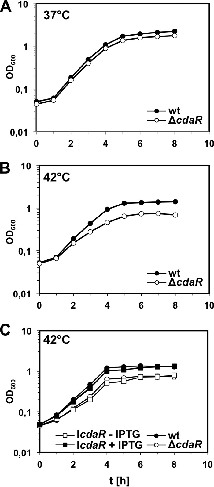 FIG 5