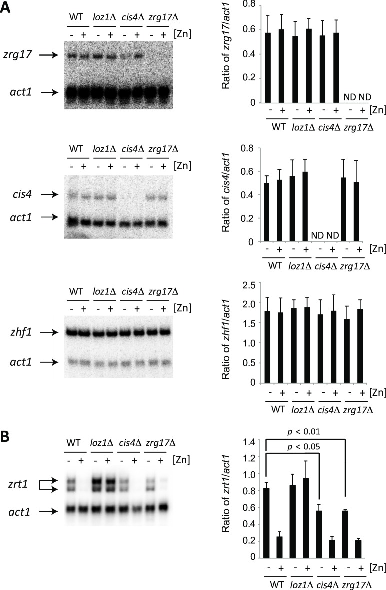 Fig 8