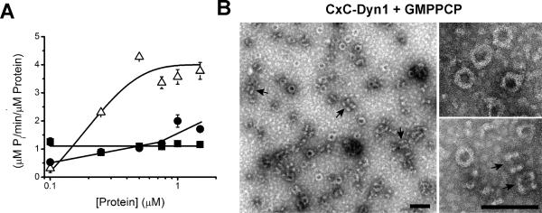 Extended Data Figure 3