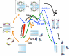 Extended Data Figure 8