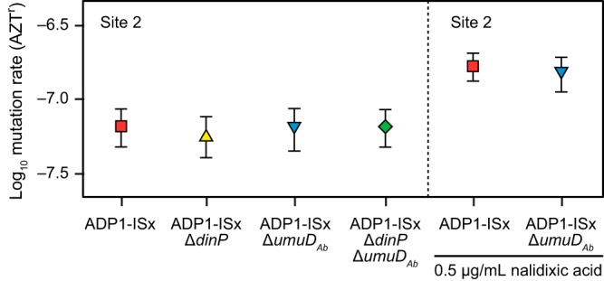 FIG 6