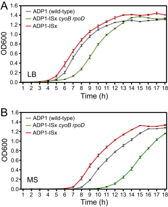 FIG 3