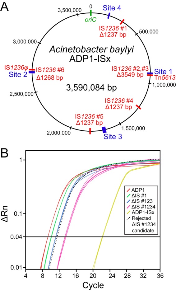 FIG 2