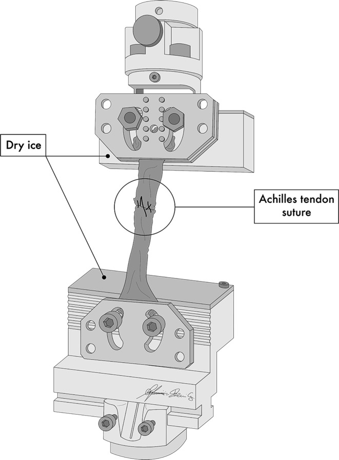 Fig. 5