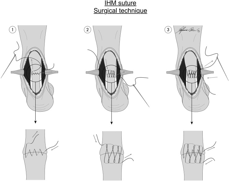 Fig. 2