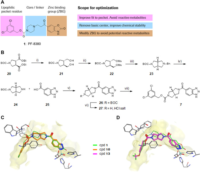 FIGURE 1