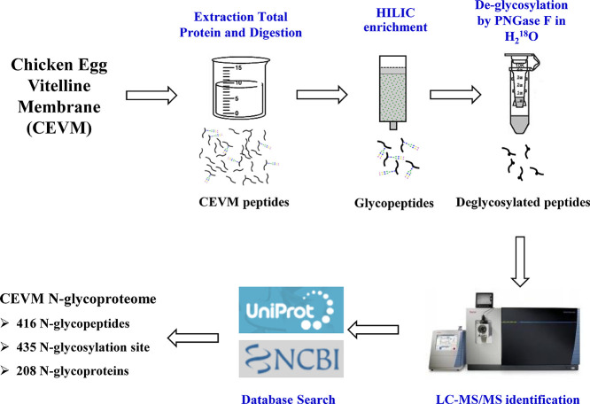 Unlabelled Image