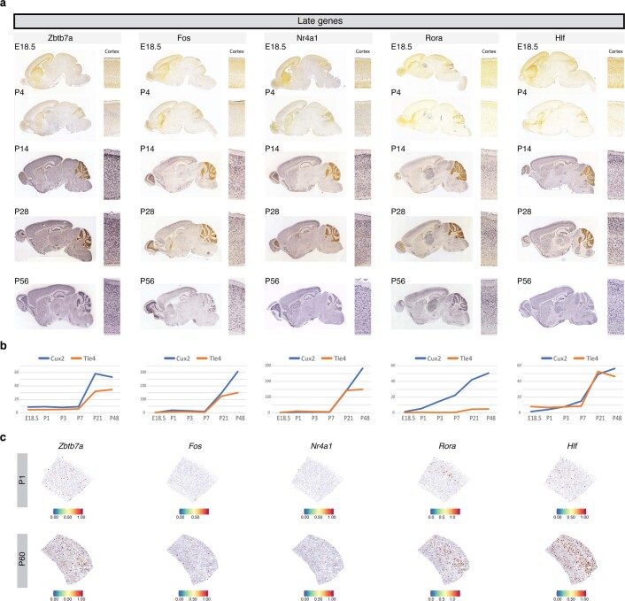 Extended Data Fig. 4