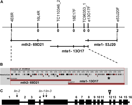 Figure 1.