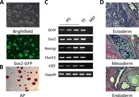 FIGURE 3.