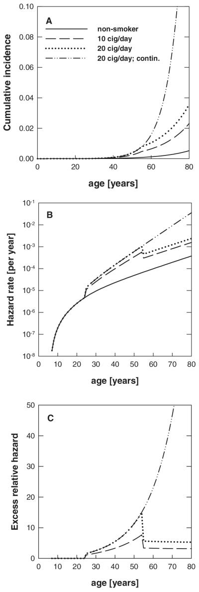 Fig. 5