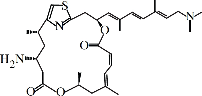 graphic file with name oncotarget-02-076-i001.jpg