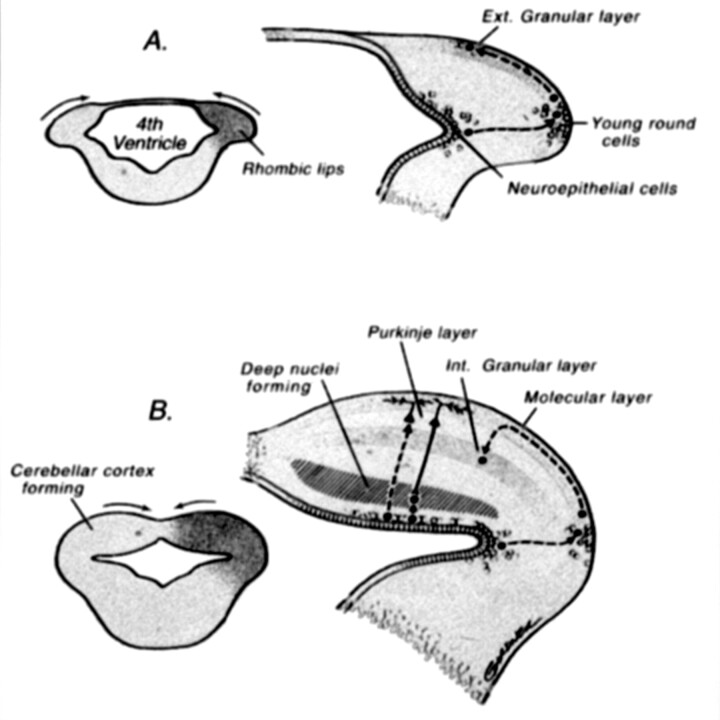 Fig 13.