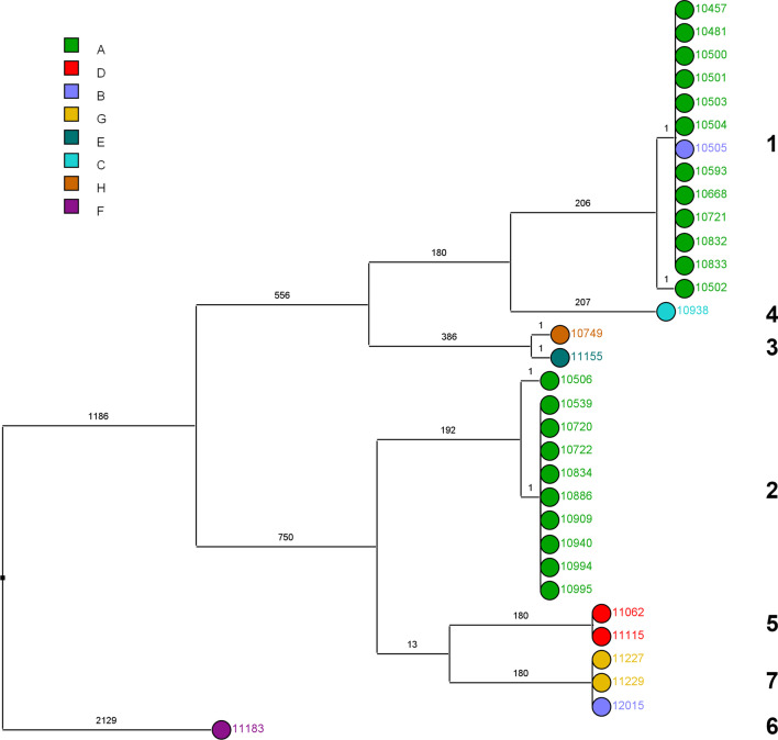 Fig. 2