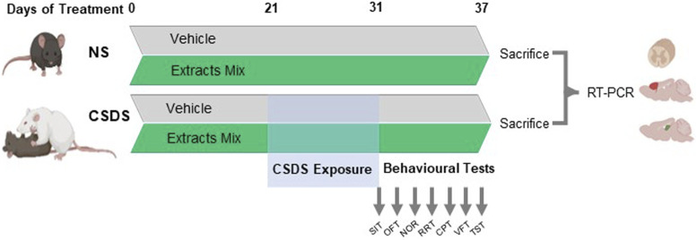 FIGURE 1