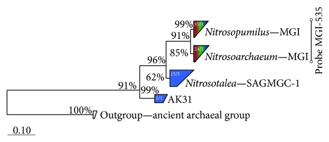 Figure 5