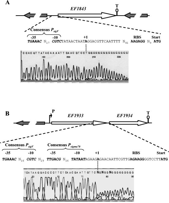 FIG. 9.