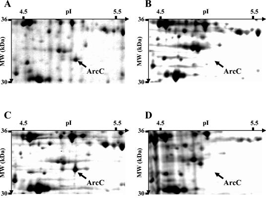 FIG. 8.