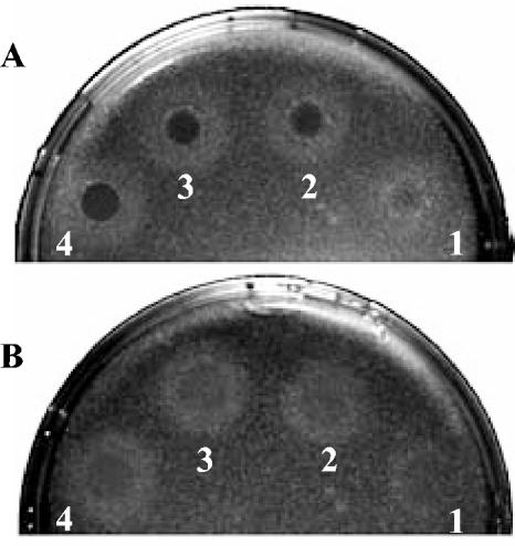 FIG. 10.