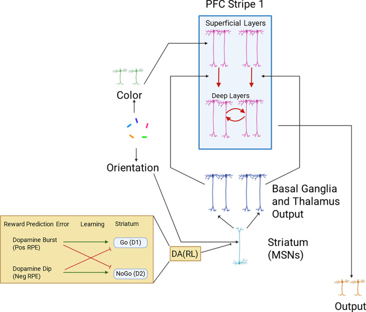 Figure 1.