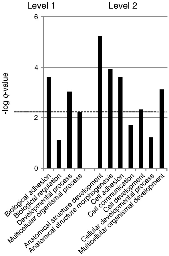 Fig. 9