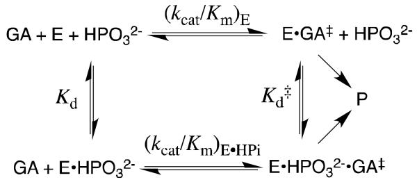 Scheme 5