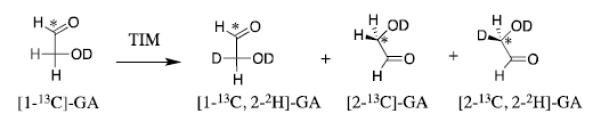 Scheme 4