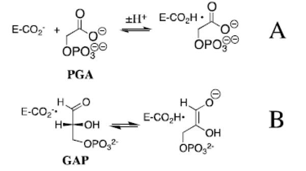 Scheme 8