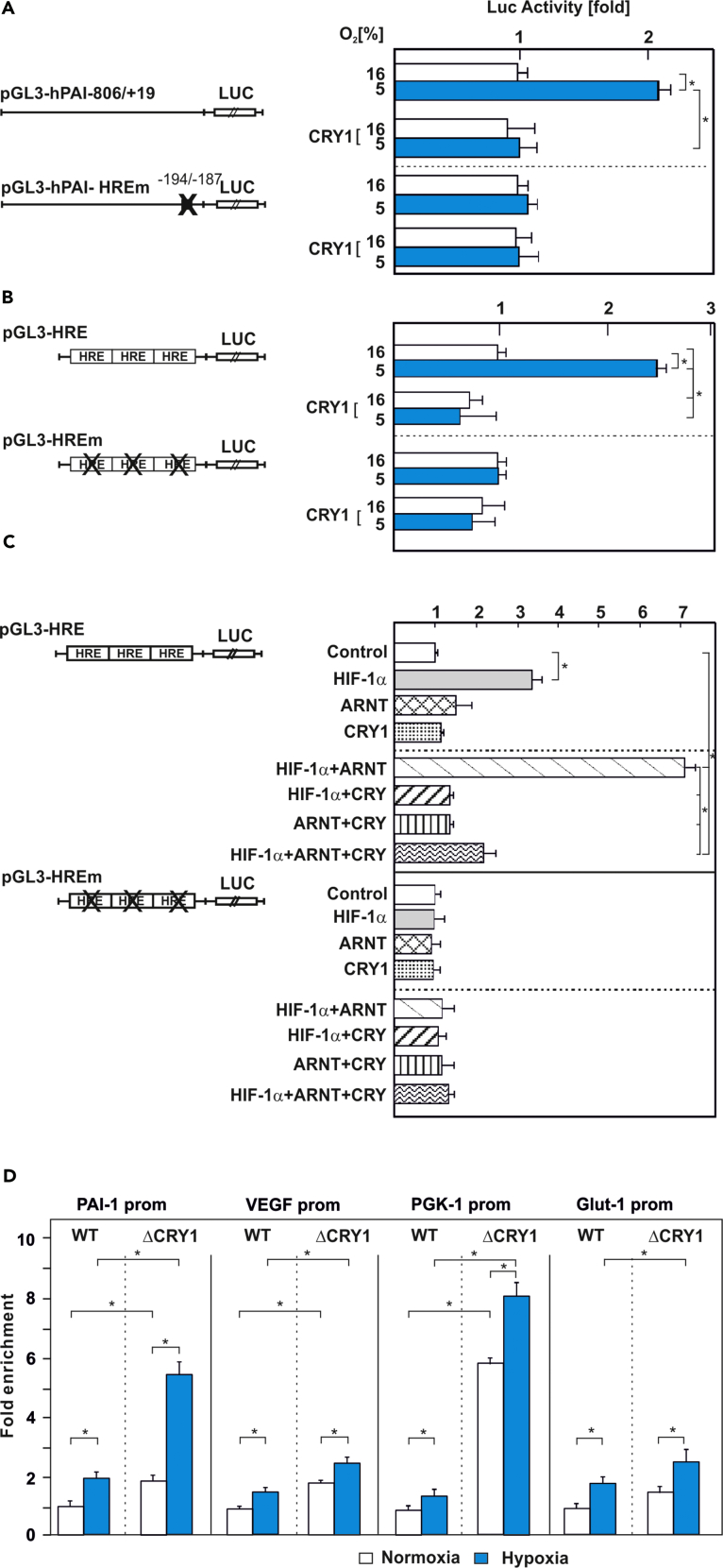 Figure 7