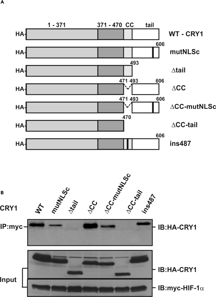 Figure 5