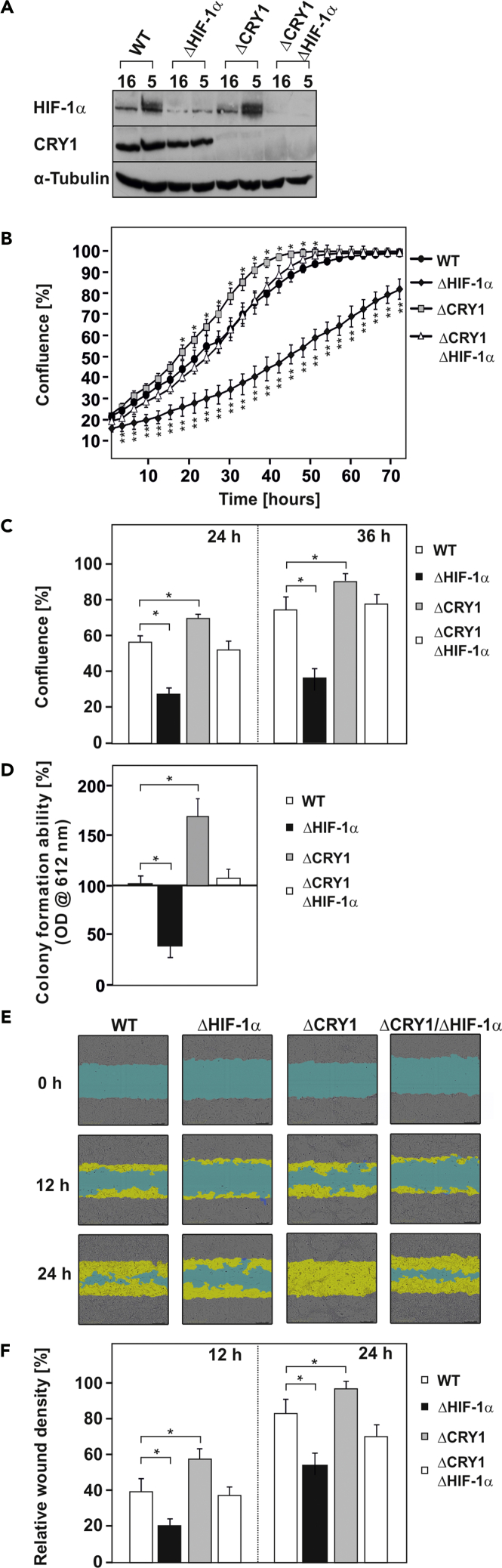 Figure 10