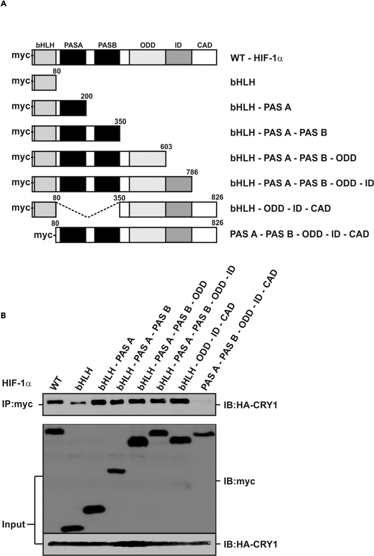 Figure 6