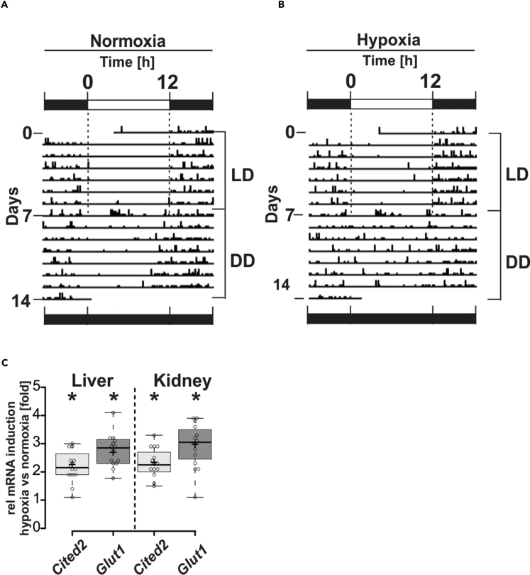 Figure 1