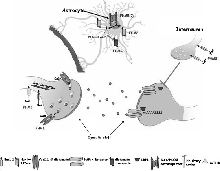 Fig. 2